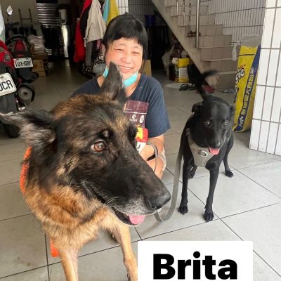 BRITA